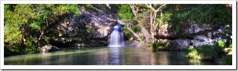 Kondalilla Falls