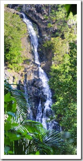 Kondalilla Falls