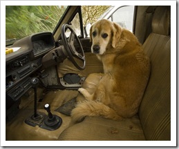 Bundy Campbell ready to drive Harry Hilux