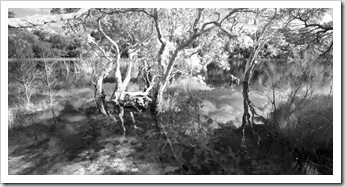 Poona Lake in Great Sandy National Park