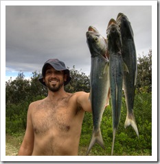 Sam with a trio of Tailor on Fraser Island