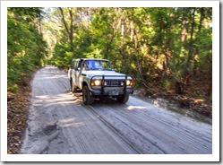 Bessie on the track to Lake Birrabeen