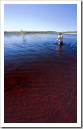 Chris taking a dip in the tannin-stained water of Lake Boomanjin