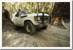 Bessie tackling the Lake Wabby track to Central Station