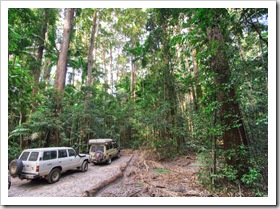 Parked in the Pile Valley rainforest