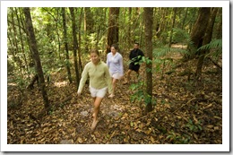 Lisa, Sarah and James walking around the Pile Valley rainforest