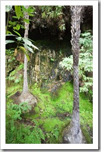 Dripping Rock in Cania Gorge