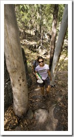 Lisa on the way to Boolimba Bluff