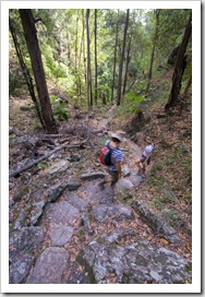 Chris and Lisa on the way down from Boolimba Bluff