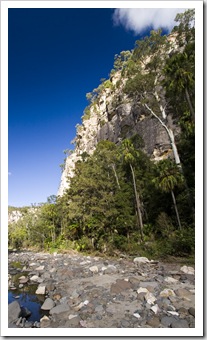 Carnarvon Gorge