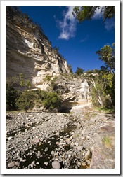 Carnarvon Gorge