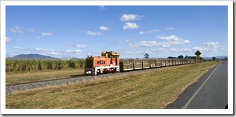 A train hauling cane to the mill