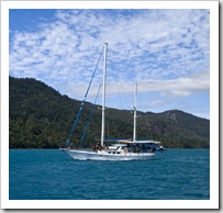 Some lucky devils sailing the Whitsundays