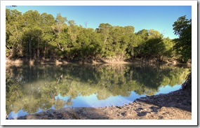 Crocodile-friendly mangroves near our campsite at Toomulla