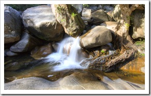 The creek below Jourama Falls