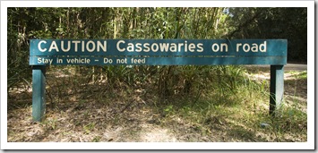 Our first sign of Cassowaries in Girringun National Park