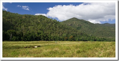 Picturesque cattle station on the way into Murray Falls