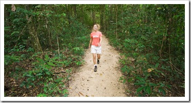 The hiking trail to the top of Murray Falls