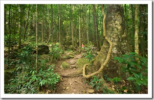 The hiking trail to the top of Murray Falls