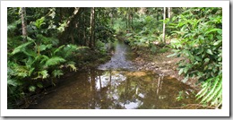 Picturesque Lacey Creek near Mission Beach