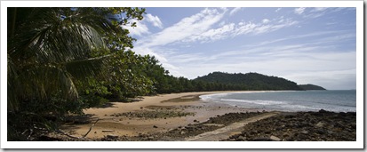 Rainforests down to the ocean at Bingil Bay