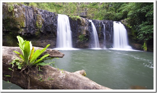 Majestic Nandroya Falls