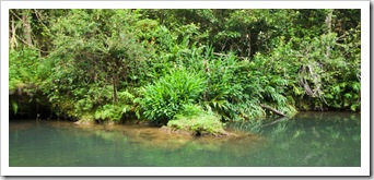 Bush Pool swimming hole near our Henrietta Creek campsite