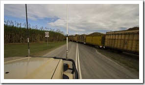 Waiting for a sugar cane train on the road to Mossman