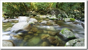 Rex Creek in Mossman Gorge