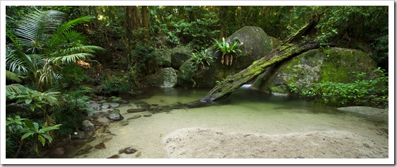 Wurrmbu Creek in Mossman Gorge