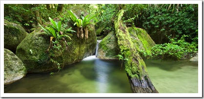 Wurrmbu Creek in Mossman Gorge