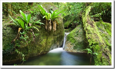 Wurrmbu Creek in Mossman Gorge