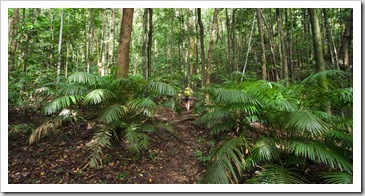 Lisa on her way through the jungle to the top of Mount Sorrow