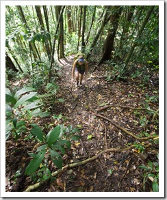 Lisa on her way through the jungle to the top of Mount Sorrow
