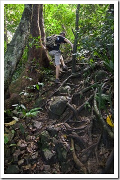 Sam on his way through the jungle to the top of Mount Sorrow