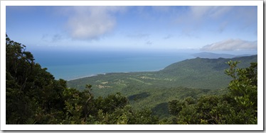 View of the Daintree rainforest from the top of Mount Sorrow