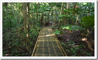 The Dubuji Boardwalk