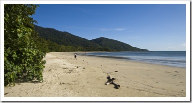 The beach extending north from Cape Tribulation