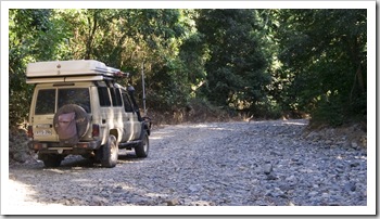 Making our way north through Daintree National Park