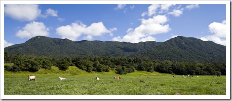 Picturesque cattle country below Mount Boolbun on the way into Cooktown