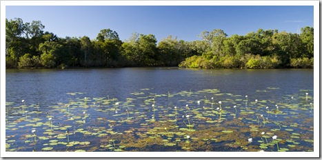 Horseshoe Lagoon in Lakefield National Park