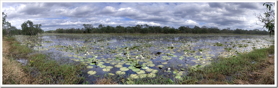 Panoramic of picturesque White Lily Lagoon