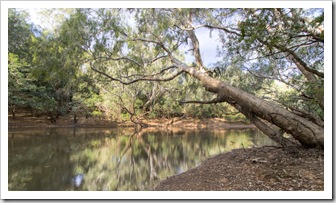 View of Midway Waterhole from our campsite