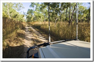 Tall grass on the way out of Midway Waterhole 