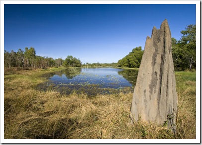 Picturesque Breeza Kennedy Waterhole