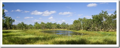 Waterhole on the way to Blue Lagoon