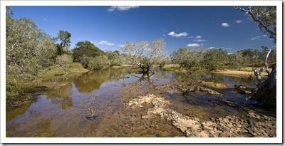 The Morehead River