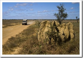 Crossing the vast expanse of tall grass and termite mounds that make up Nifold Plains