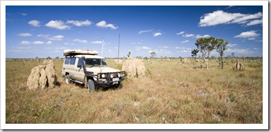 Crossing the vast expanse of tall grass and termite mounds that make up Nifold Plains