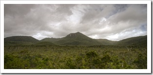 Mount Tozer in Iron Range National Park